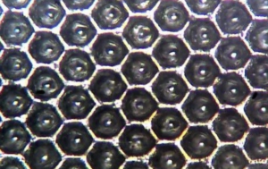 Fiber Laser engraving